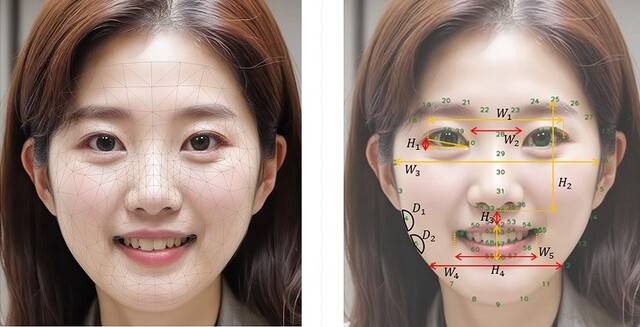 안면 특징점 추출 기술 적용 예시(좌), 얼굴 부위별 6가지 노화 지표 정의 예시(우). LG생활건강