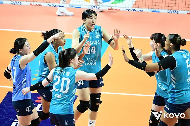 제공 | 한국배구연맹