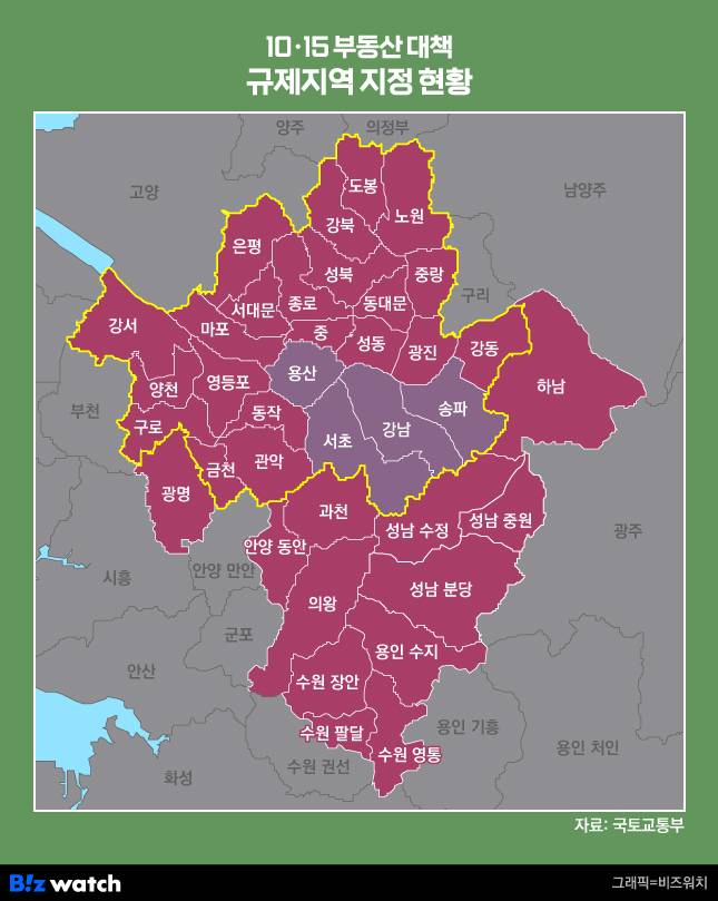 정부가 지난 15일 발표한 규제지역 범위, 신규 지정된 토지거래허가구역도 이와 동일하다/그래픽=비즈워치