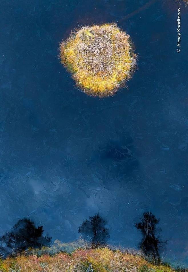 포트폴리오 부문 수상작 ‘타이가의 달’. 러시아 북부 습지를 드론으로 촬영한 작품. 올해의 야생동물사진가상 제공
