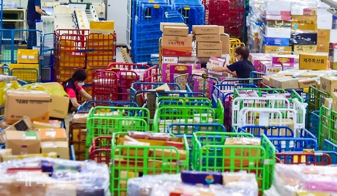 제주일보 자료사진