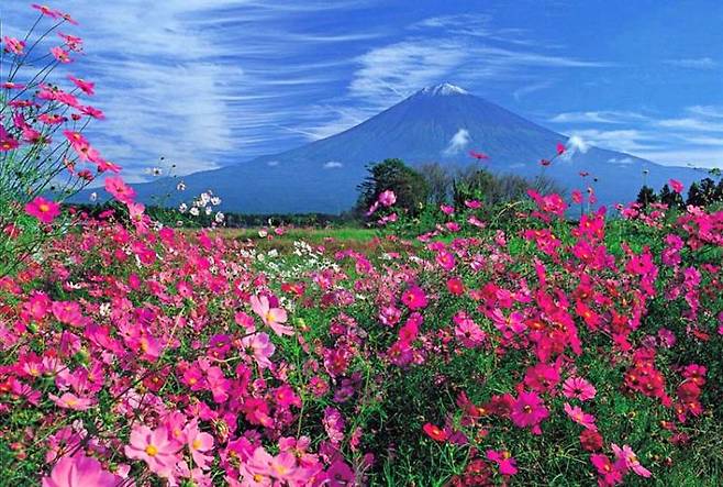 일본 후지노미야. 일본 관광청