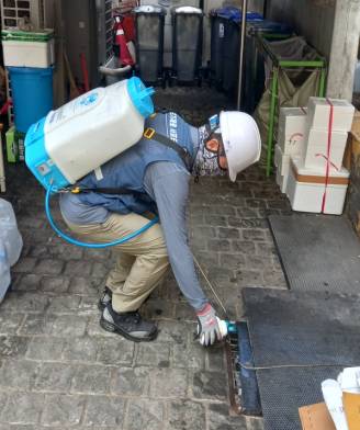 서울 강남구 방역기동반 대원이 쥐가 드나드는 배수구에 살서제(쥐약)를 뿌리고 있다.