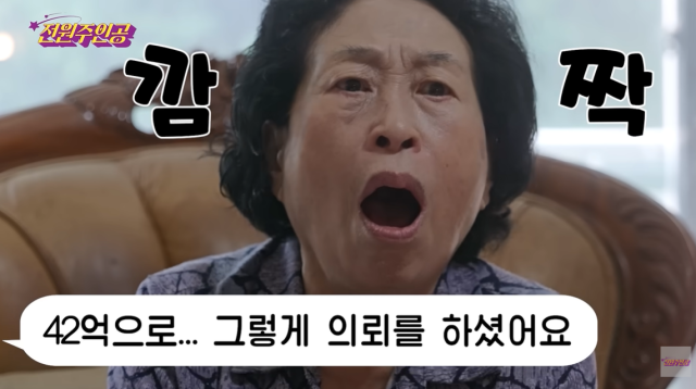 배우 전원주/유튜브 채널 '전원주인공'