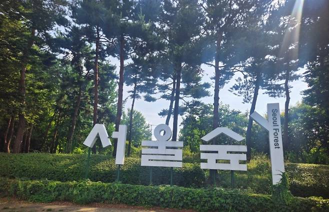 도심 속의 녹지공간, '서울숲'.