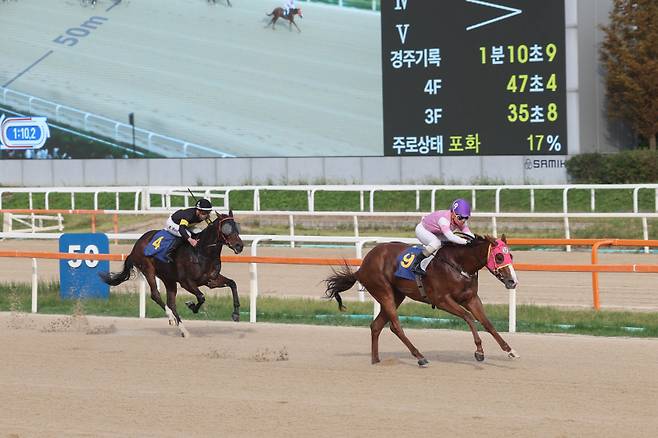 제21회 농협중앙회장배 치프스타와 최범현 기수 결승선 통과 모습. 사진=한국마사회