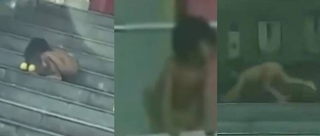 ‘야생 아이‘로 불리는 남자 아이. 웨이보