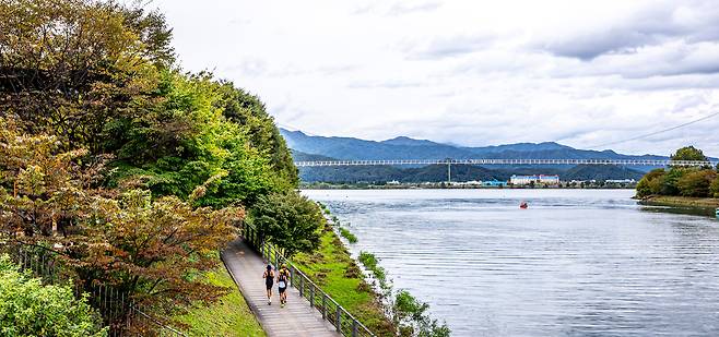 매년 국내 최대 가을 마라톤 축제인 '조선일보 춘천마라톤'(춘마)이 열리는 강원도 춘천 의암호 일대는 마라톤뿐 아니라 '호반 러닝' 성지로도 인기다. 의암호를 이은 출렁다리인 '춘천사이로248' 등 새로운 즐길 거리가 가을 여행객을 맞이한다. / 이신영 영상미디어 기자