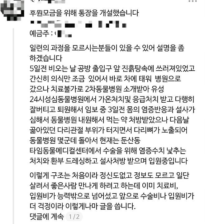버려진 고양이의 치료비 모금에 나선 이유를 설명하는 게시글. SNS 스레드 게시글 캡처