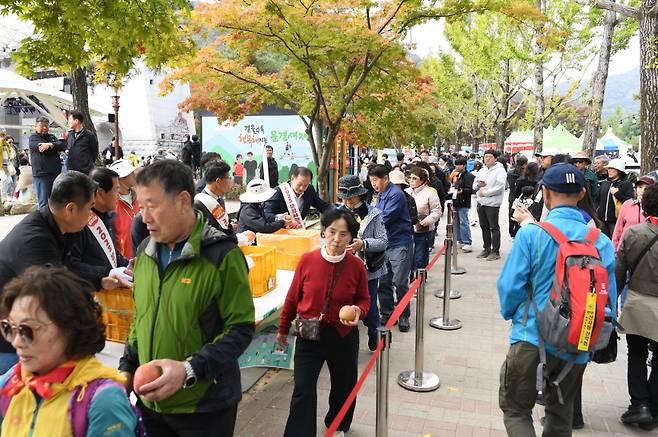 ‘2025 문경사과축제’에 총 46만여 명의 관광객이 방문, 25억 3천만 원 규모의 감홍사과 판매 실적을 올리며 역대 최대 기록을 갈아치웠다. /문경시 제공
