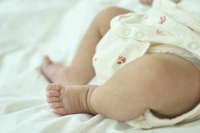 참고 사진. 게티이미지뱅크