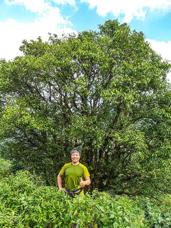 금수차존 앞에 선 필자.