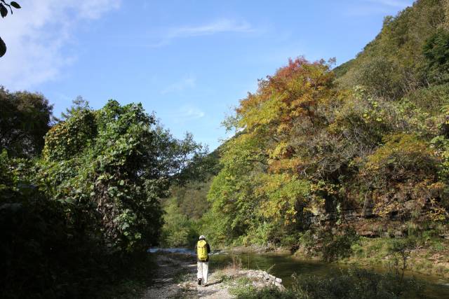 덕산기 계곡은 정선읍 덕우리에서 화암면 북동리를 잇는 약 12㎞의 물길이다. 계곡 옆으로 길이 나 있다. 김도훈 기자