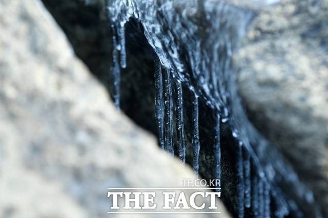 영하권 강추위가 이어지고 있는 8일 오전 서울 영등포구 여의도한강공원 일대에 고드름이 얼어 있다. /서예원 기자