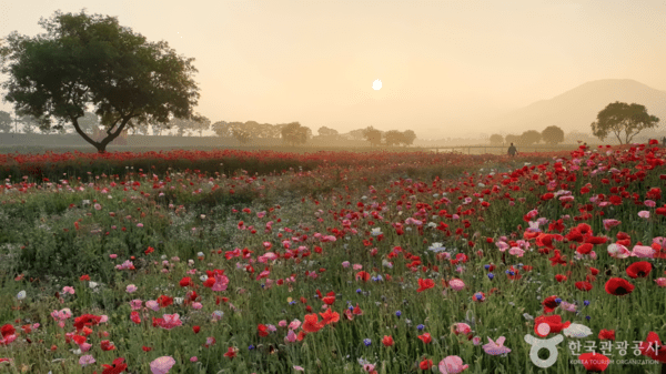 황룡강생태공원 /사진제공-한국관광공사