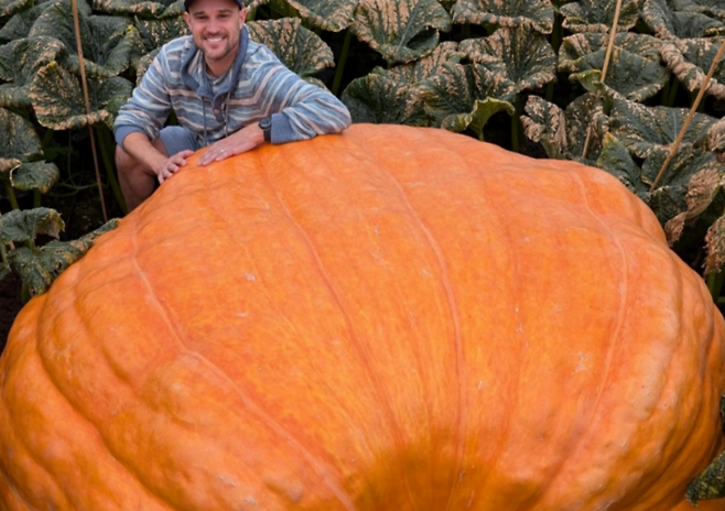영국의 쌍둥이 형제가 1.28톤짜리 거대 호박으로 세계 기록을 경신했다. 50년간 이어온 씨앗과 과학적 재배법, 협력의 정신이 만든 결실이다. 사진=@ianpaton2269