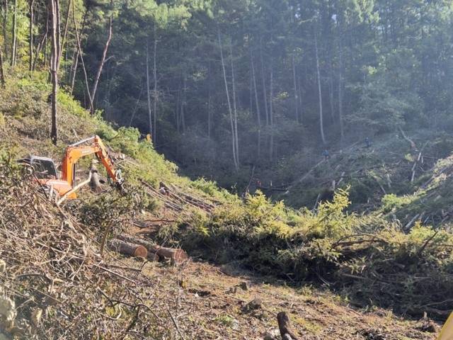 ▲ 29일 오전 11시 50분쯤 홍천군 두촌면의 야산에서 70대 벌목 작업자가 쓰러진 나무에 깔려 부상을 입고 병원으로 이송됐다. 강원소방본부 제공
