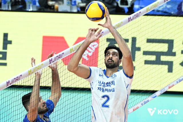 삼성화재 도산지./KOVO