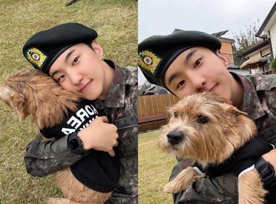 호시 /사진=위버스