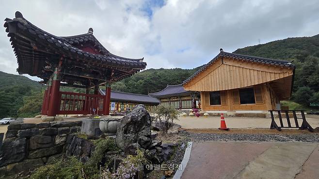 °¿ø ¾ç¾ç±º ÁøÀü»ç