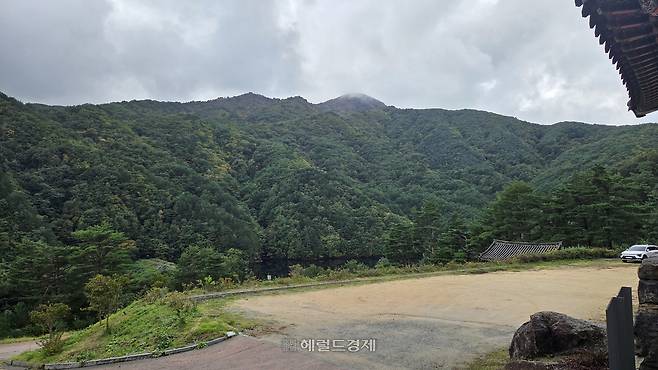 진전사에서 바라본 풍경