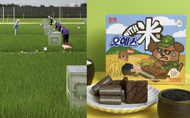 가루쌀 '바로미' 생산 현장(왼쪽), 가루쌀 활용한 오예스. 크라운해태제과 제공