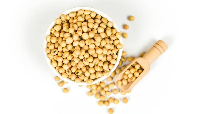 클립아트코리아