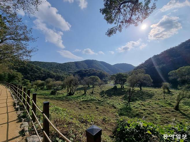 지난달 26일 울산암각화박물관에서 반구대 암각화를 향해 가는 길 주변의 모습. 숲과 바위, 강이 어우러진 자연환경이 그대로 드러나는 풍경이다. 울산=김도형 기자 dodo@donga.com