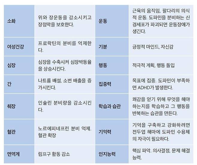 도파민의 두 얼굴: 성공의 열쇠인가, 중독의 함정인가