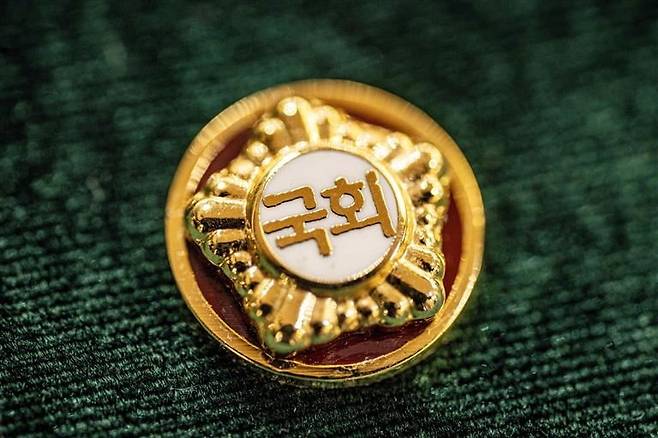 22대 국회의원 배지. /사진=연합뉴스