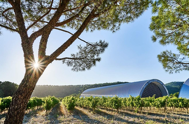 장 누벨의 와인 저장고. 비닐 하우스 모양으로 지어졌다. ©Château La Coste