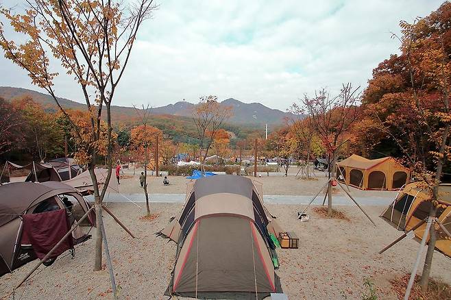초막골생태공원 느티나무야영장(경기도 군포시)