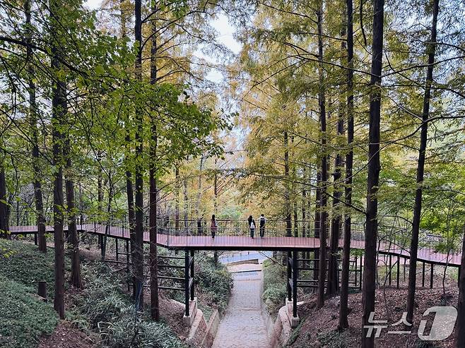 '모험전망다리'(출렁다리)에서 바라본 건너편 '바람전망다리'의 모습. 2025.10.31/뉴스1 ⓒ News1 한지명 기자