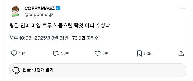 인도네시아 젊은이들이 정부 검열을 피하고 이를 알아볼 수 있는 세대와 유대하기 위해 이들은 일종의 ‘한글 시위’를 벌였다./x 캡처