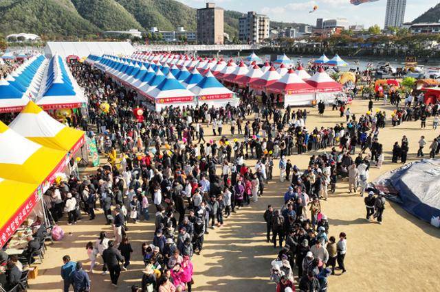 이달 2일까지 5일간 열린 청송사과축제장 부스 마다 전국에서 방문한 인파가 줄을 잇고 있다. 청송군 제공