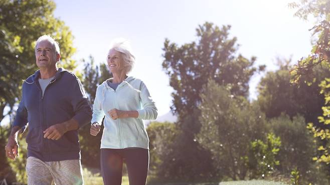 혈액 내 단백질 수치로 신체 노화를 예측할 수 있다는 연구 결과가 나왔다|출처: 클립아트코리아