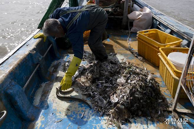 “주 어종은 새우고, 철 따라 장어, 농어 등이 잡히는데…. 옛날만 못하지” 그는 오늘은 쓰레기가 적게 올라온 것이라고 했다. 강화 l 문재원 기자