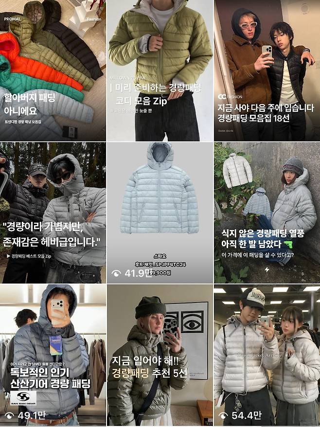 경량 패딩 관련 콘텐츠. /사진=SNS 캡처