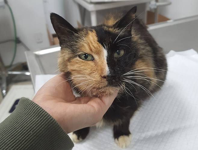 청주반려동물보호소