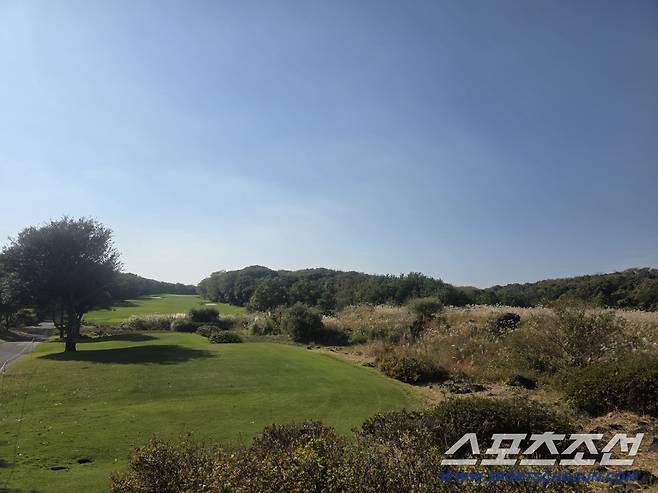 사진=김용 기자