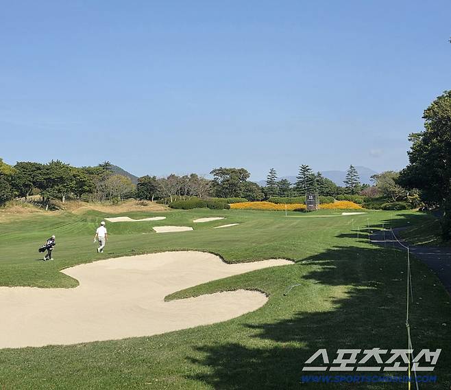 사진=김용 기자