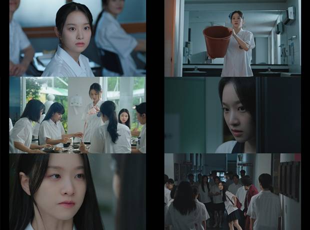 티브이데일리 포토