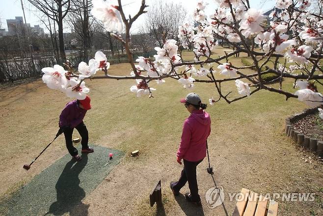 파크골프장 ※ 이 사진은 기사 이해를 돕기 위한 것으로 기사 속 경남 창녕군의 파크골프장이 아닙니다.
