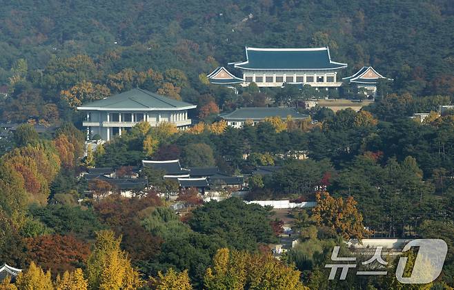 입동인 7일 서울 외교부 청사에서 바라본 청와대 일대 단풍이 절정을 이루고 있다. 용산 대통령실의 청와대 이전이 임박한 것으로 보도되고 있다. (공동취재) 2025.11.7/뉴스1 ⓒ News1 임세영 기자