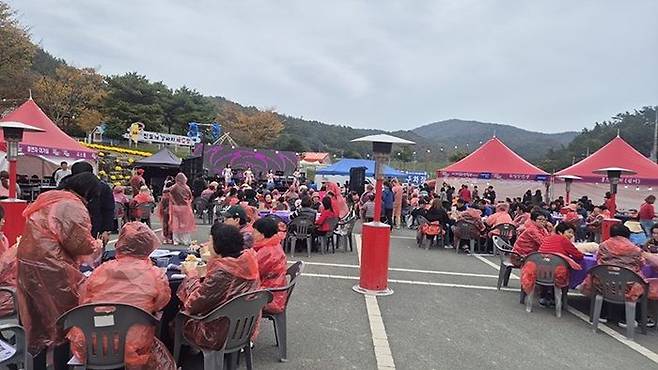 진도홍주 하이볼 페스타 현장. 진도군 제공