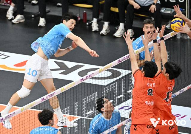 대한항공 정지석./KOVO