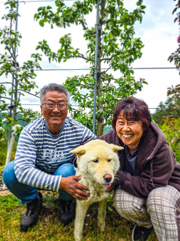 이광수 오대산 사과창고 과수원장과 김우희 대표가 사과꽃이 활짝 핀 농장에서 반려견 제제와 함께 행복한 한때를 보내고 있다. 건강 문제로 홍천에 정착한 이씨는 부동산 디벨로퍼에서 농부로변신했다.