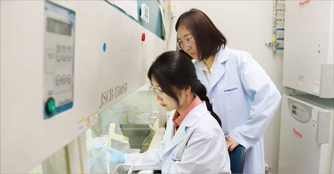 한국생명공학연구원 줄기세포연구센터 연구원들이 오가노이드 연구를 수행중이다. 생명연 제공