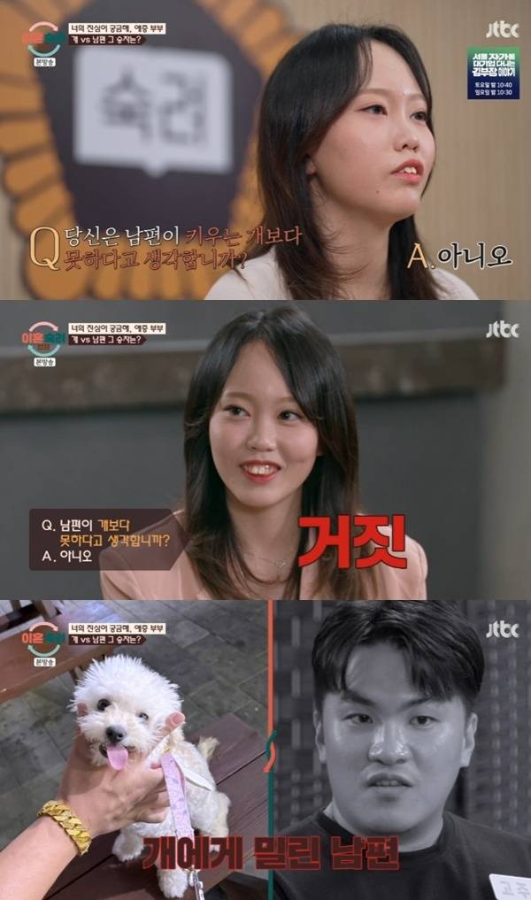 JTBC '이혼숙려캠프'