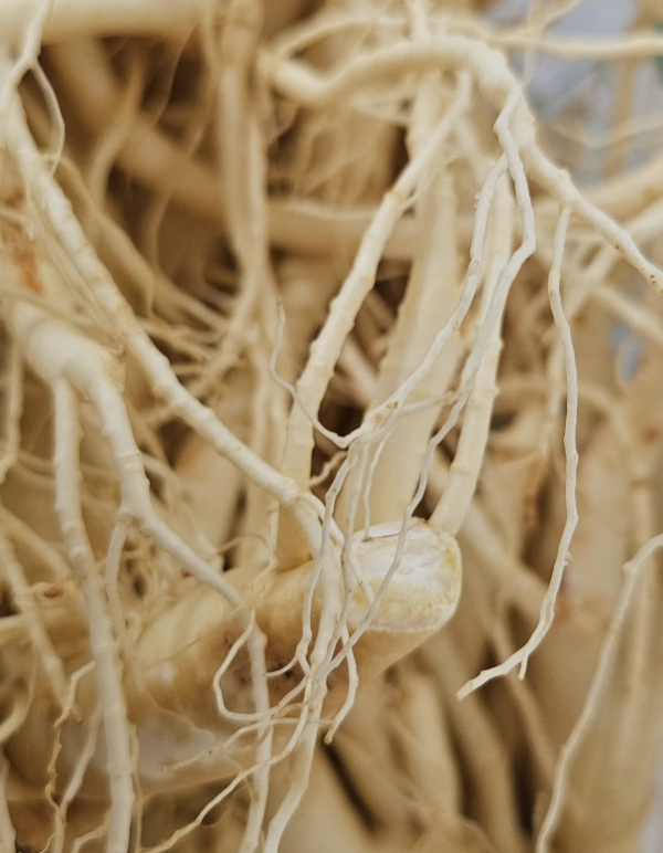 ⓒ이경실 인스타그램